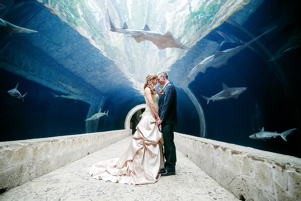 Dallas World Aquarium - Dallas, Texas © John Christopher Photographs | Dallas Wedding and Portrait Photographer