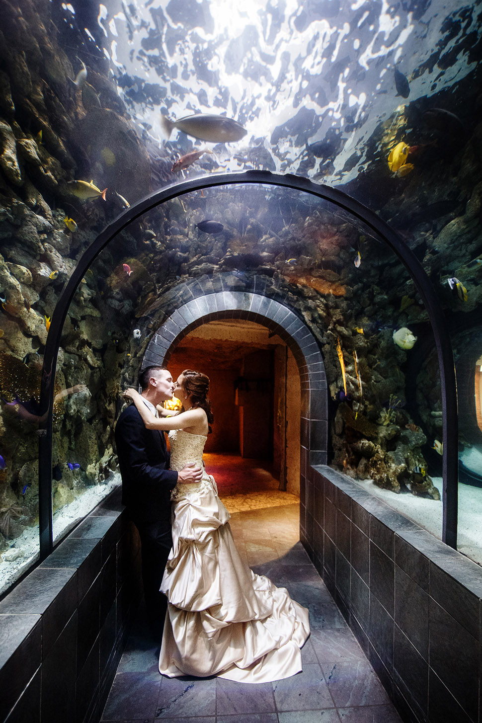 Dallas World Aquarium - Dallas, Texas © John Christopher Photographs | Dallas Wedding and Portrait Photographer